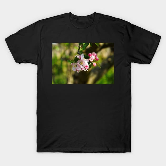 Blossom On Tree Branch (Closeup/Macro) - Spring Flowers T-Shirt by Harmony-Mind